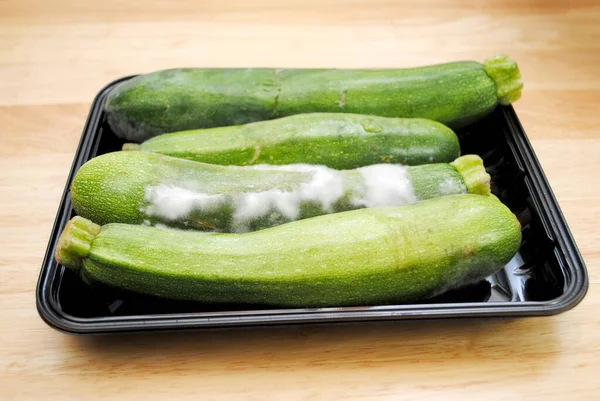 Moldy Disgusting Green Zucchini Squash — Stock Photo, Image