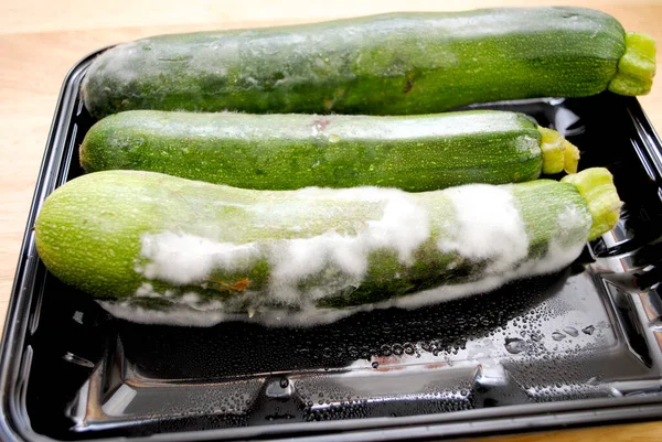 Moldy Disgusting Green Zucchini Squash — Stock Photo, Image