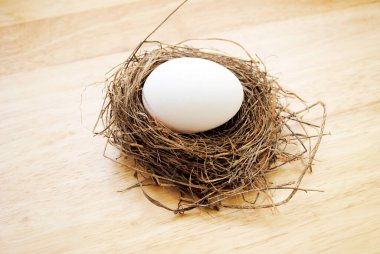 Küçük Kuş Yuvası ve Büyük Tavuk Yumurtası