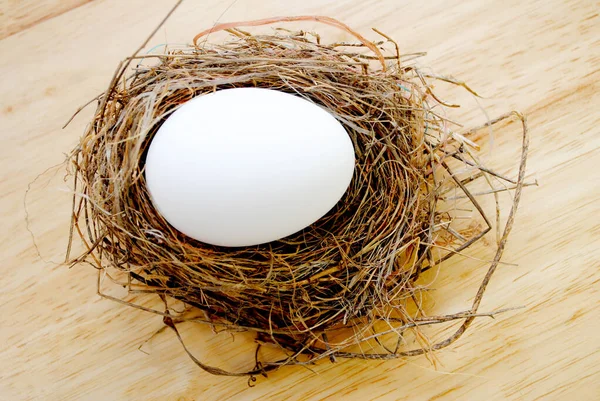 Small Birds Nest One Large Hen Egg — Stock Photo, Image