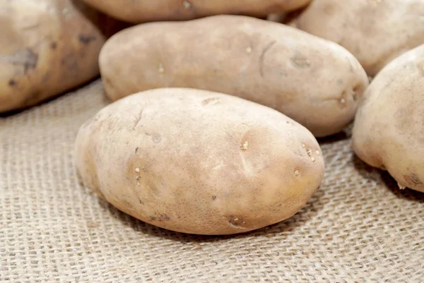 Fresh Harvested White Potatoes Burlap — Stock Photo, Image