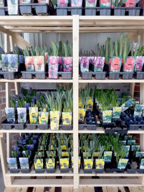 Bahçe perakendecisinde Bahar Çiçekleri Satmak