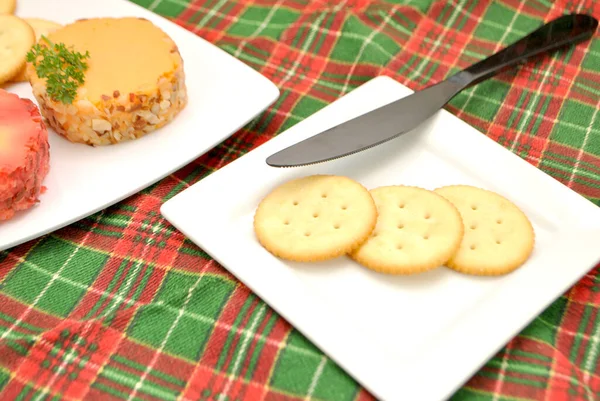 Cheddar Cheese Log Scheiben Auf Einem Teller Mit Runden Crackern — Stockfoto