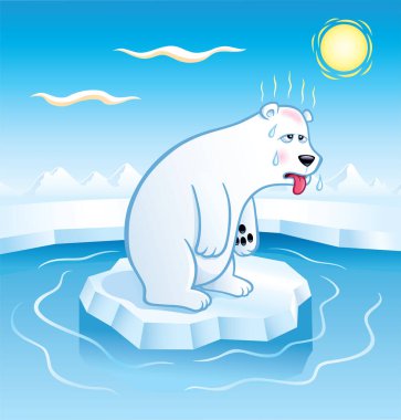 Polar bear sweating with tongue hanging out while floating on an ice floe and feeling the effects of global warming and climate change.