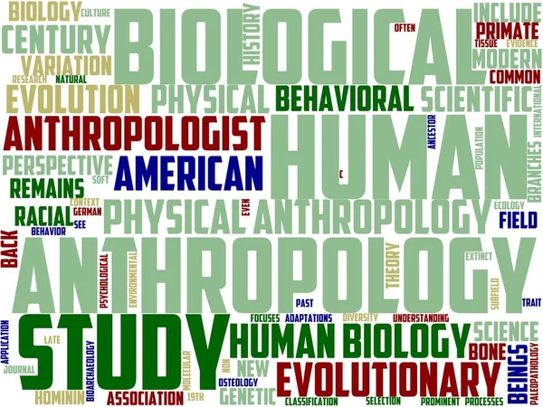 Antropobiología Tipografía Wordcloud Wordart Antropobiología Información Texto Pila Estudio — Foto de Stock