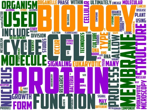 Cinológia Tipográfia Wordart Wordcloud Állat Kutya Kisállat Kutya — Stock Fotó