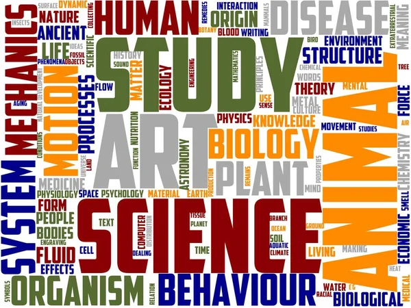 Entozoologie Typografie Wordart Wordcloud Entomologie Hmyz Příroda Fauna — Stock fotografie