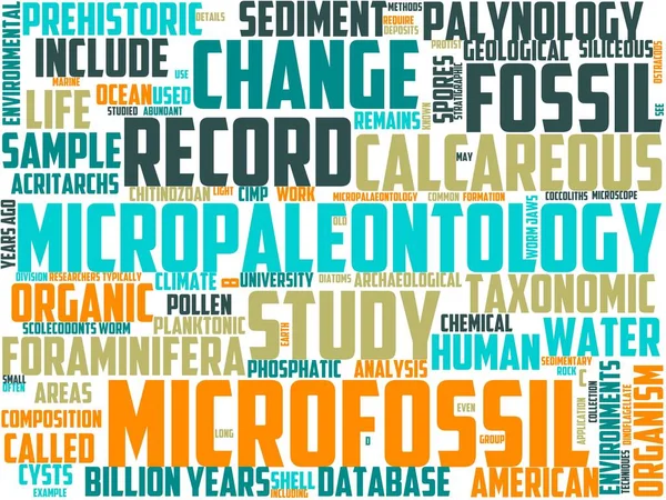 Typografia Mikropaleontologiczna Wordcloud Wordart Mikroskamieniałości Dane Kolekcja Mikropaleontologia — Zdjęcie stockowe