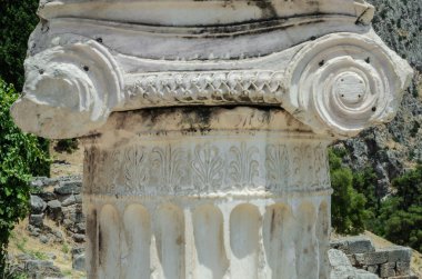 sermaye iyonik sipariş ayrıntısı
