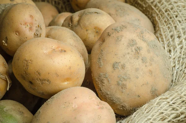 Organic potatoes — Stock Photo, Image