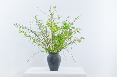 yeşil dallar ile bahar buketi