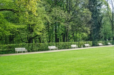 Lazienki parkta ahşap banklar