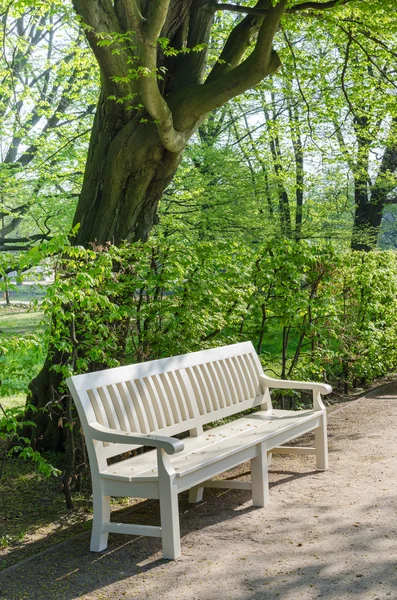 Drewniane ławki w parku Łazienkowskiego — Zdjęcie stockowe