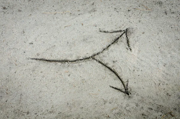 Seta desenho sinal na areia — Fotografia de Stock