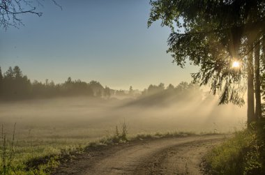Orman, hdr ülkede yol