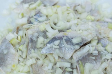 Doğranmış soğanlı ringa balığı. Yakın plan seçici odaklanma.