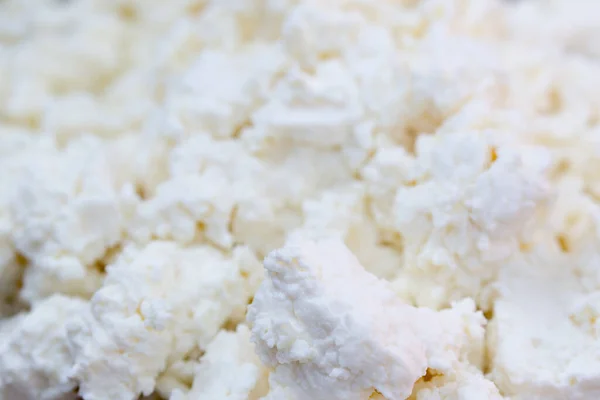 Blanco Cottage Cheese Primer Plano Enfoque Selectivo —  Fotos de Stock