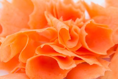 taze sarmal havuç dilimleri garnitür yakından seçici odak