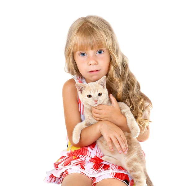 Dívka objímání malé kotě — Stock fotografie