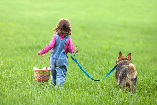 Liten flicka går med hund — Stockfoto