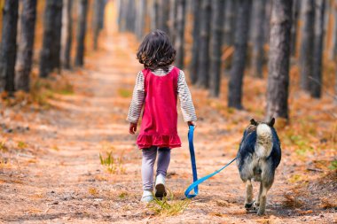 köpek yolda yürürken ile küçük kız. geri kamera.