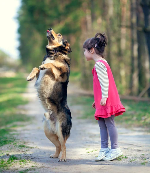 Happy little girl playing with big staying dog in the forest — Stock Photo, Image