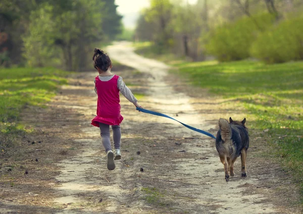 Menina com cão correndo na estrada — Fotografia de Stock