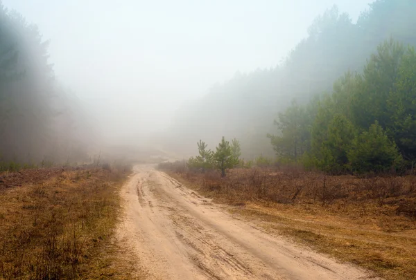 Landelijke weg op een mistige ochtend — Stockfoto