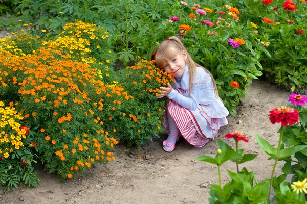 Happy little girl smelling the flower on the flower lawn — Stock Photo, Image