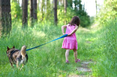 küçük kız ile çalışan köpek