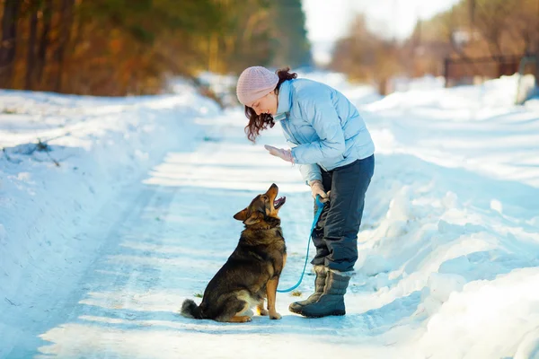 Pretty young woman training her dog — Stock Photo, Image