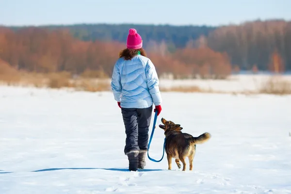 彼女の犬の散歩を持つ若い女 — ストック写真