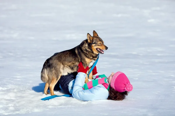 개와 놀고 있는 여자 — 스톡 사진