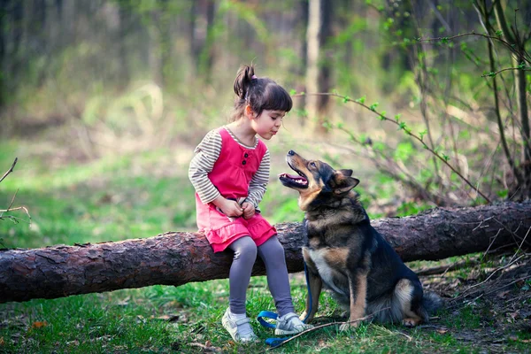 Happy little girl with big dog in the forest — Stock Photo, Image