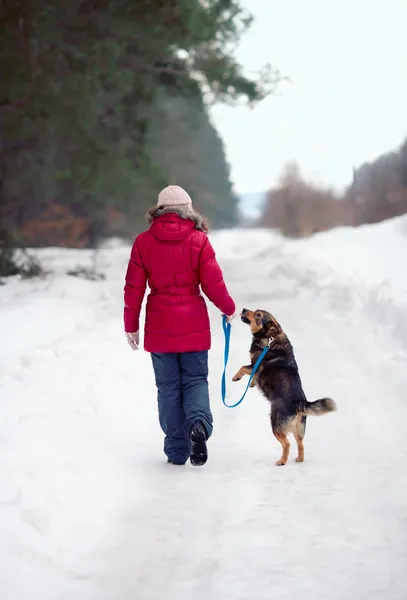 Giovane donna con il cane — Foto Stock