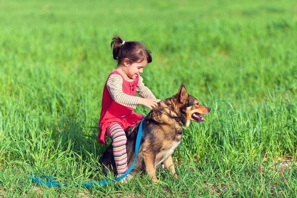 Mutlu küçük kız köpekle oynamayı — Stok fotoğraf