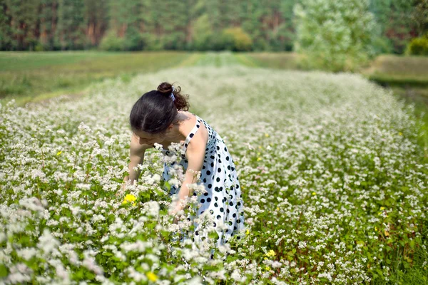 Young woman harvesting buckwheat — Stock Photo, Image