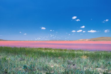Beautiful pink mud lake clipart
