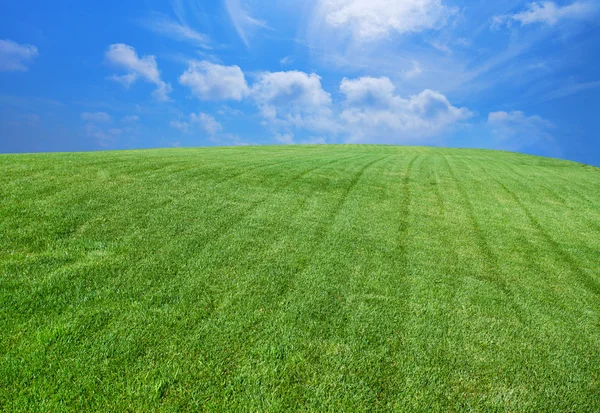 Зелений газон з блакитним небом з хмарами — стокове фото