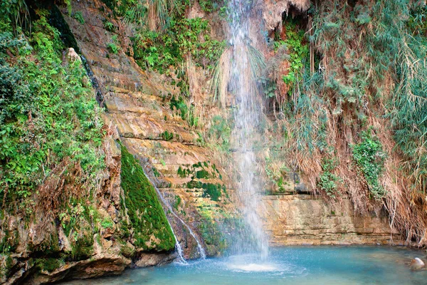 Cascada de David en la Reserva Natural de Ein Gedi — Foto de Stock