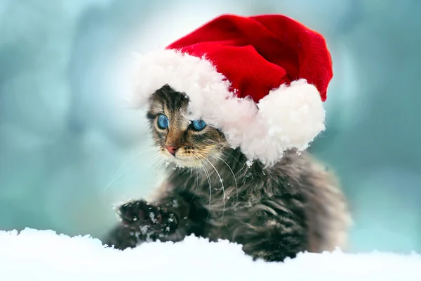 Little kitten wearing Santa's hat — Stock Photo, Image