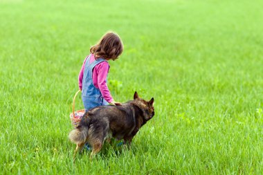 üzerinde yürüyen bir köpek ile küçük kız alan kamera için geri.