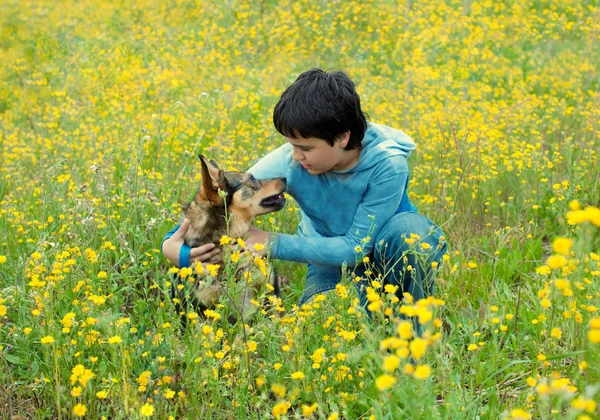 Liten pojke placering med sin hund på blomma ängen — Stockfoto
