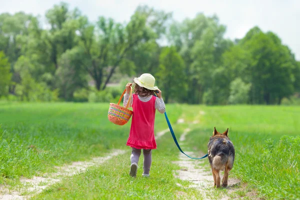 Bambina con cane che corre sulla strada per il picnic — Foto Stock