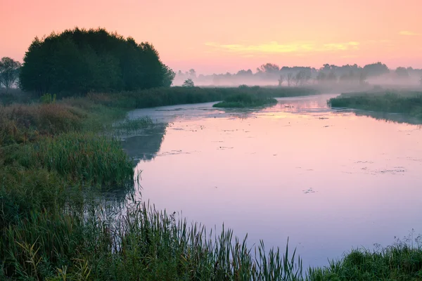 Mlha nad řekou za úsvitu — Stock fotografie