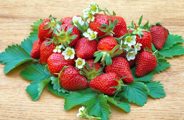 Strawberries on leaves — Stock Photo, Image