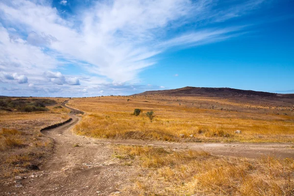 Beautiful sky above dirt road in the field — Stock Photo, Image