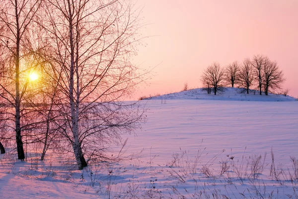 Beautiful winter sunrise — Stock Photo, Image