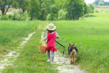küçük kız ile pikniğe yolda çalışan köpek