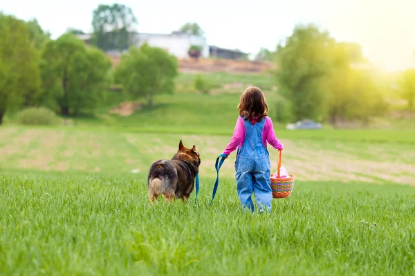 Kleines Mädchen mit Hund geht auf dem Feld zum Picknick — Stockfoto